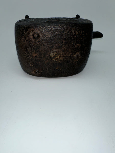 Japanese Iron Tetsubin Tea Pot. Twisted Handle. Cherry Blossom Motif.